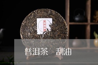 普洱茶 刮油/2023042956908